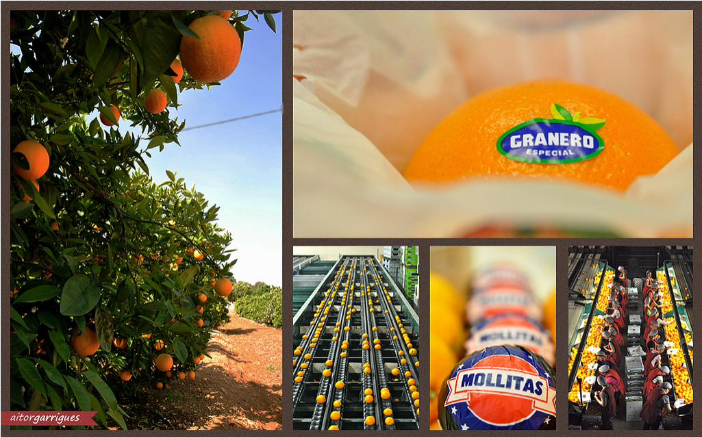 Hermanos Granero patrocina el stand del Mercat Sagunt en la feria del comercio de Sagunto