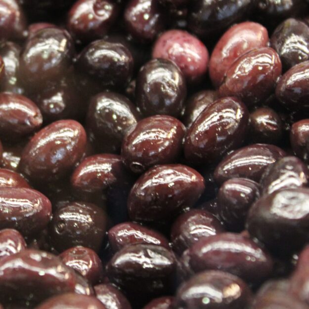 ANNAETXERA SALAZONES